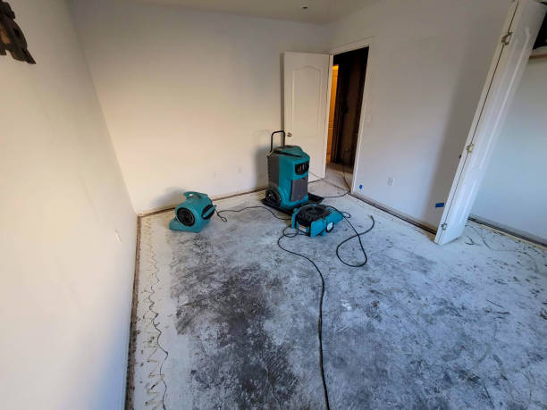 Best Residential water damage restoration  in Byhalia, MS