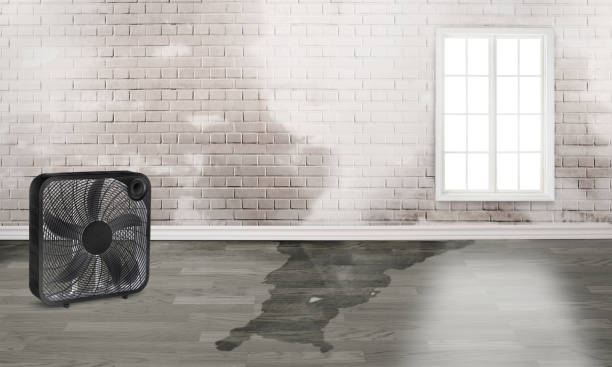 Best Commercial water damage restoration  in Byhalia, MS