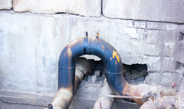 Best Flood restoration services  in Byhalia, MS